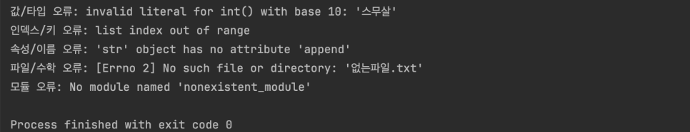내장 예외 실행 결과